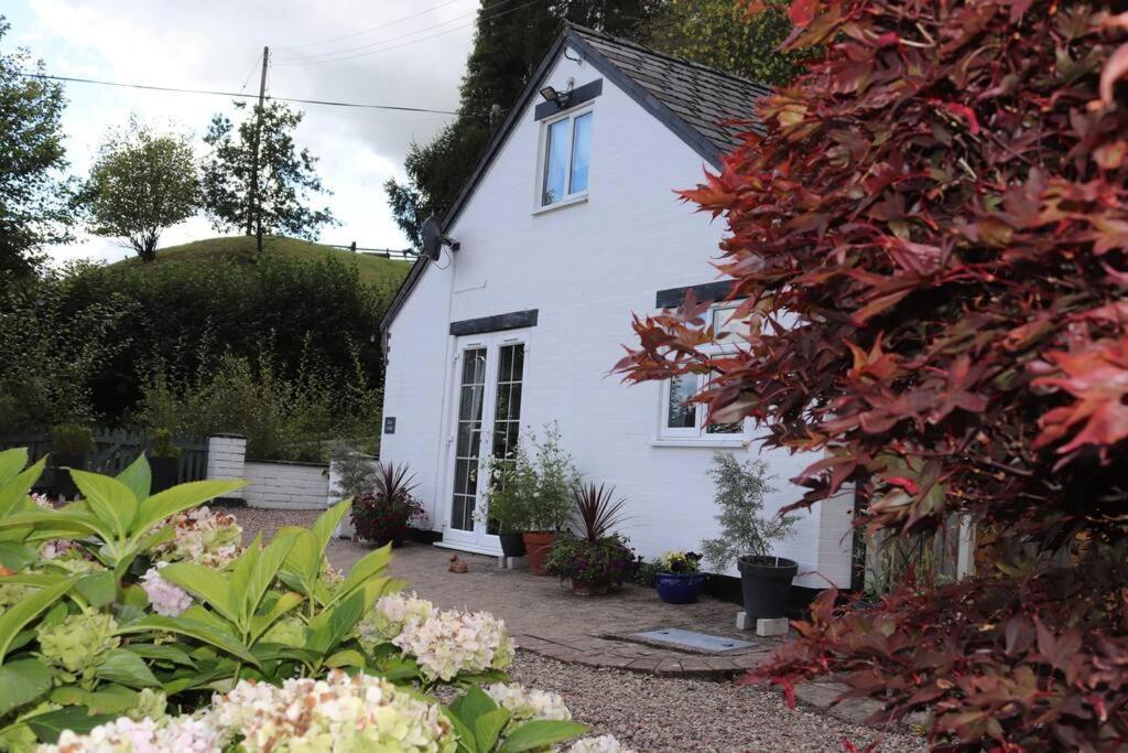 Garn Lodge Newtown  Bagian luar foto