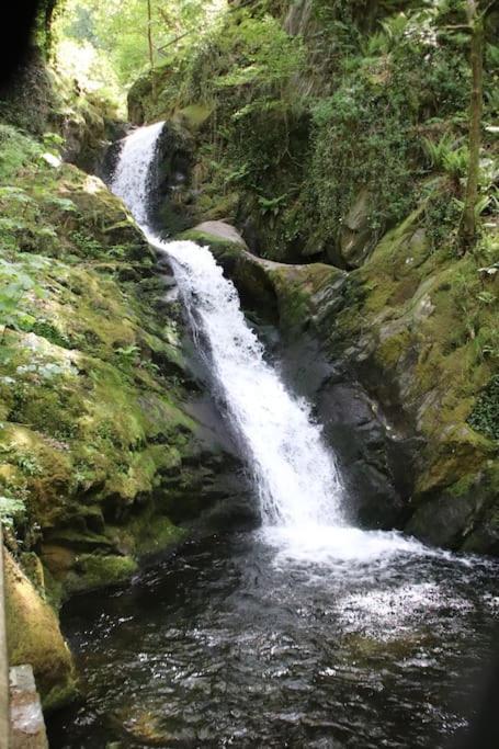 Garn Lodge Newtown  Bagian luar foto
